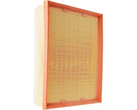 Air Filter C 25 109/1 Mann