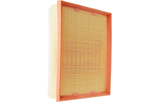 Air Filter C 25 109/1 Mann