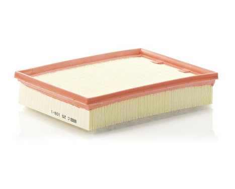 Air Filter C 25 109/1 Mann, Image 2