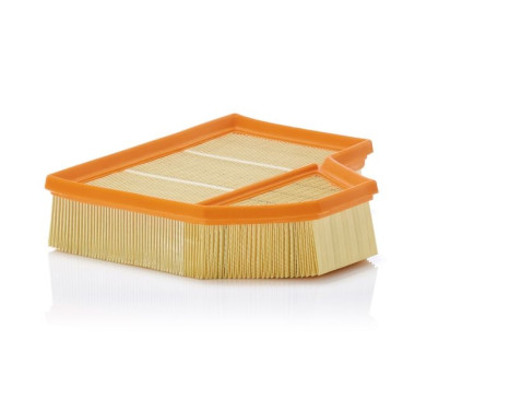 Air Filter C 25 111 Mann, Image 2