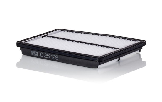 Air filter C 25 129 Mann