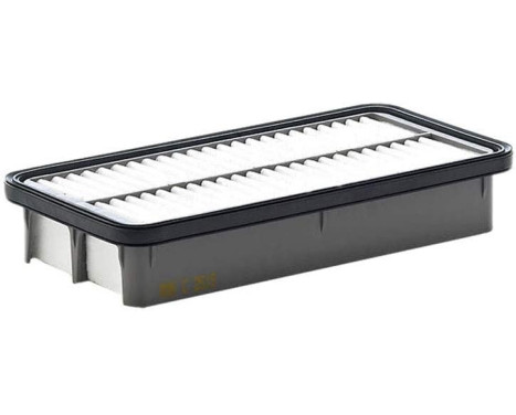Air Filter C 2519 Mann