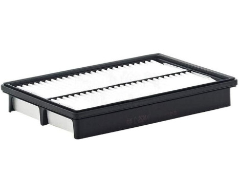 Air Filter C 2524/1 Mann