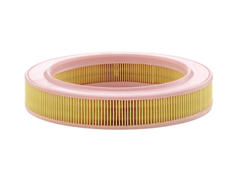 Air Filter C 2540 Mann, Image 3