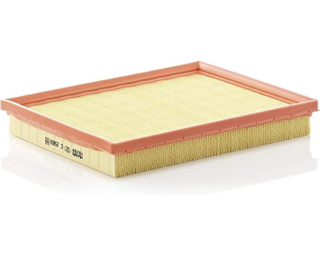 Air Filter C 2569 Mann