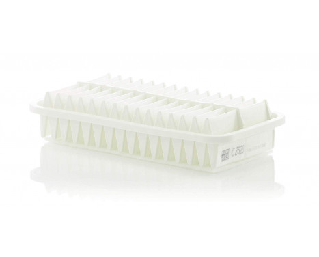 Air Filter C 2620 Mann