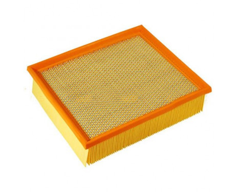 Air Filter C 2667/1 Mann