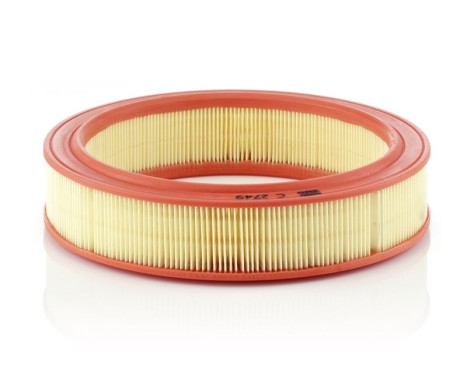 Air Filter C 2749 Mann, Image 2
