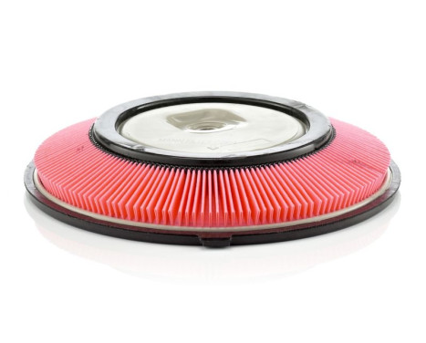 Air Filter C 2821 Mann, Image 2