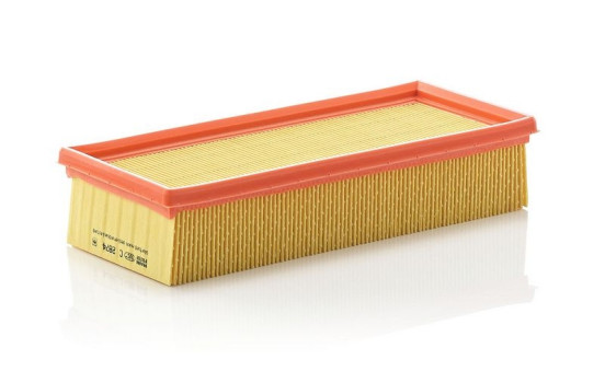 Air Filter C 2874 Mann, Image 2