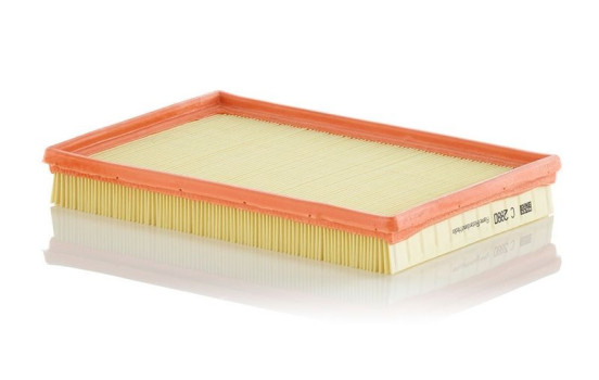 Air Filter C 2880 MANN-FILTER, Image 2