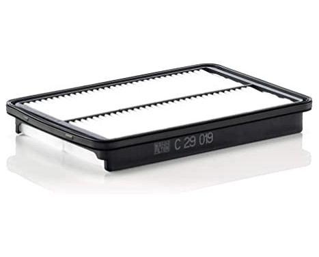 Air Filter C 29 019 Mann