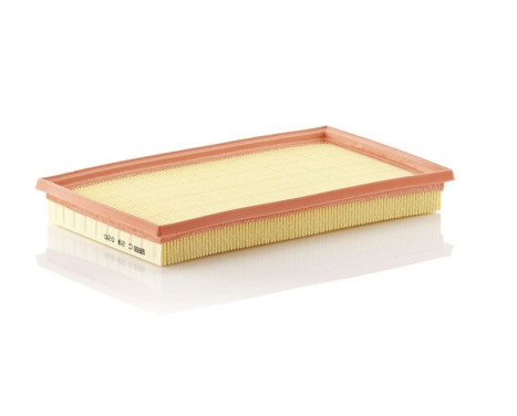 Air Filter C 29 020 Mann, Image 2