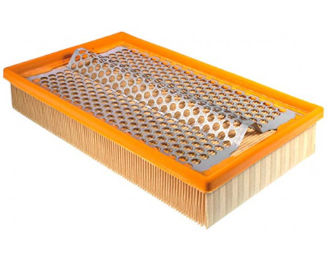 Air Filter C 29 126/2 Mann