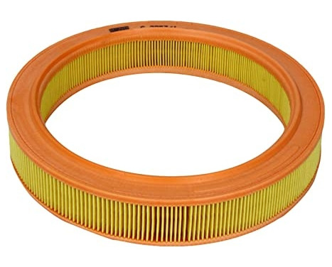 Air Filter C 2953/1 Mann