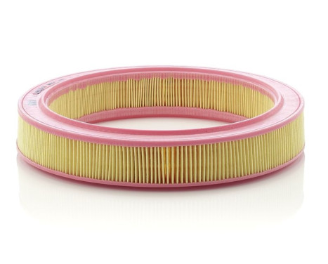 Air Filter C 2953/1 Mann, Image 2