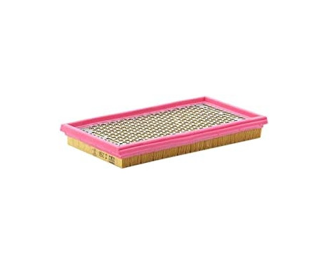 Air Filter C 2966 Mann