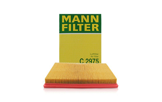 Air Filter C 2975 Mann