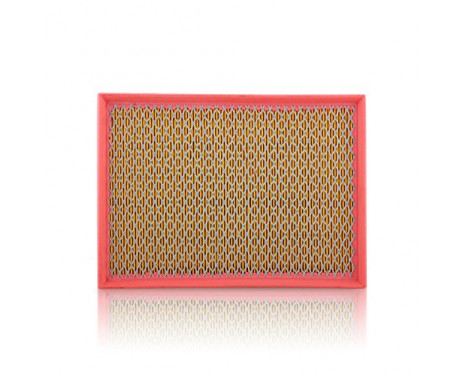Air Filter C 2975 Mann, Image 2