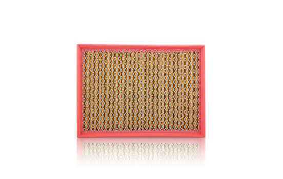Air Filter C 2975 Mann, Image 2