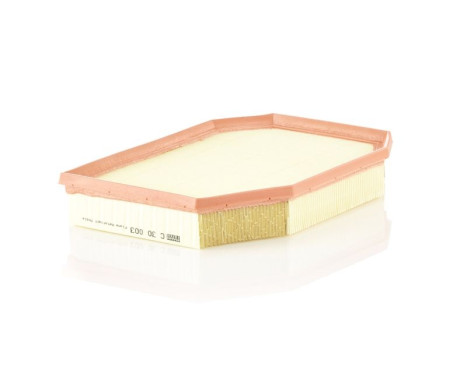 Air Filter C 30 003 Mann, Image 4