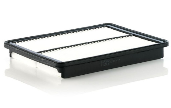 Air Filter C 30 017 MANN-FILTER, Image 2
