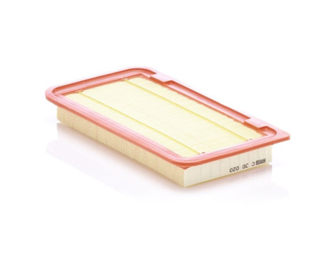 Air Filter C 30 020 Mann, Image 2