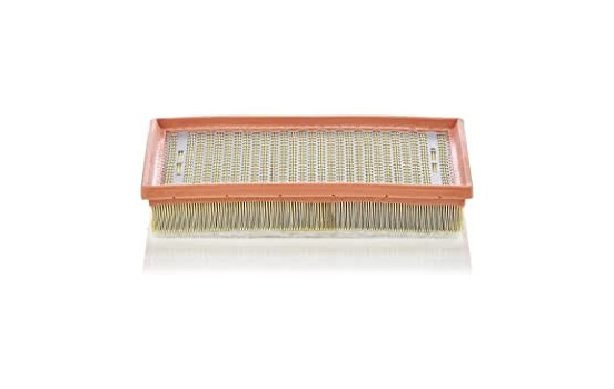 Air Filter C 30 170/1 MANN-FILTER
