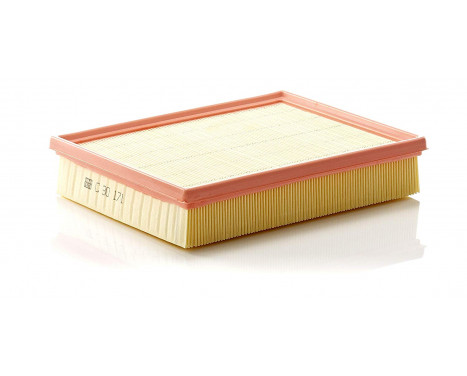 Air Filter C 30 171 Mann