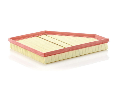 Air Filter C 3090/1 Mann, Image 2