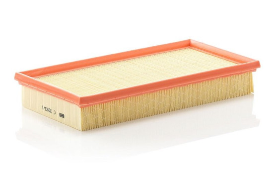 Air Filter C 3093/1 Mann, Image 2