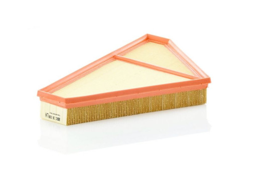 Air Filter C 36 008 Mann, Image 2