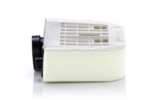 Air Filter C 38 011 Mann