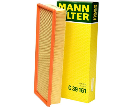 Air Filter C 39 161 Mann