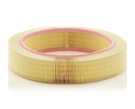 Air Filter C 40 174 Mann, Image 2