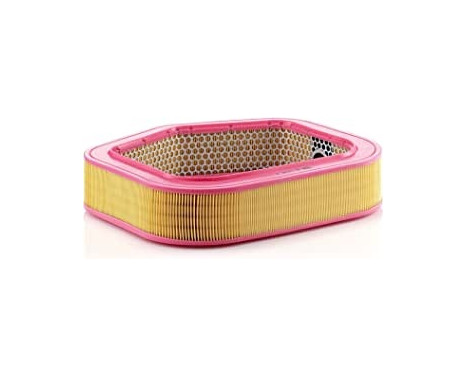 Air Filter C 40 193 Mann