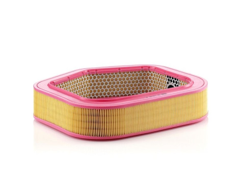 Air Filter C 40 193 Mann, Image 2