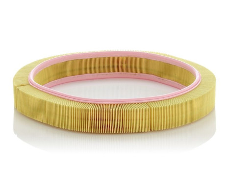 Air Filter C 41 121 Mann, Image 2