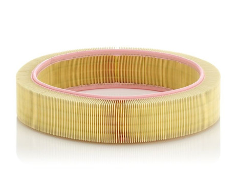 Air Filter C 41 173 Mann, Image 2