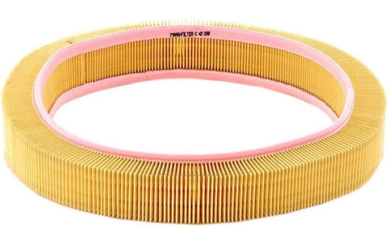 Air Filter C 42 098 Mann