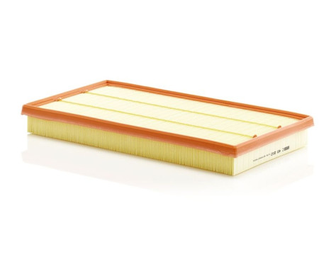 Air Filter C 43 002 Mann, Image 2