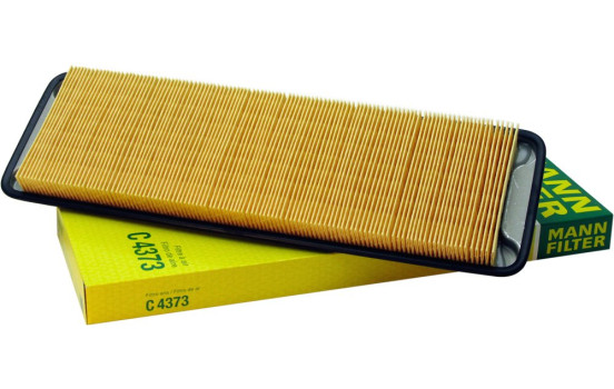 Air Filter C 4373 Mann, Image 2