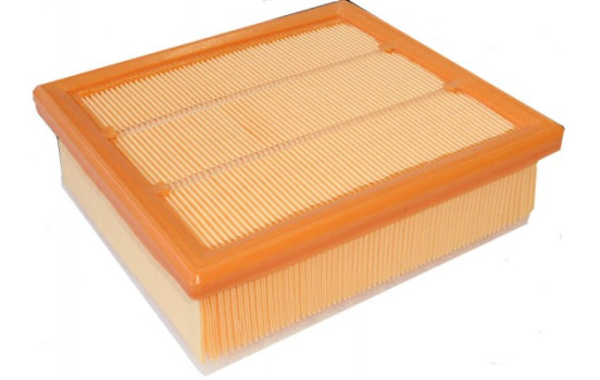 Air Filter C21002 Mann