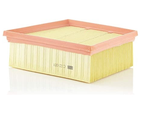 Air Filter C22031 Mann