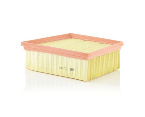 Air Filter C22031 Mann, Image 2