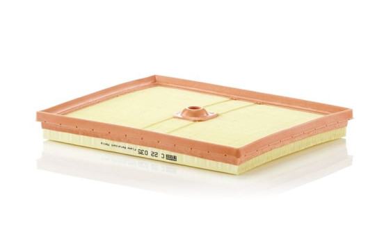 Air Filter C22035 Mann