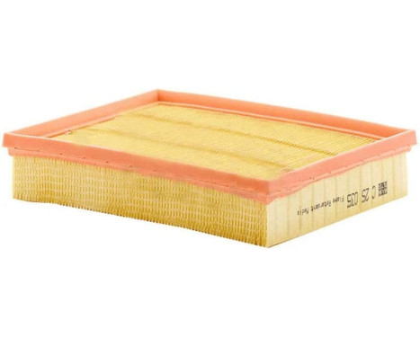 Air Filter C25035 Mann
