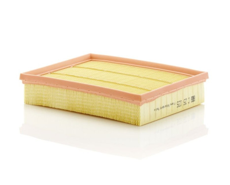 Air Filter C25035 Mann, Image 2