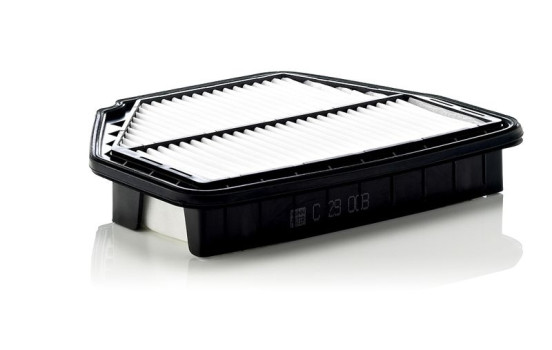 Air Filter C29008 Mann, Image 2