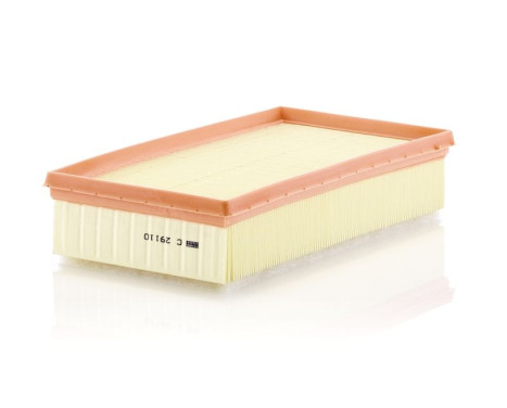 Air Filter C29110 Mann, Image 2